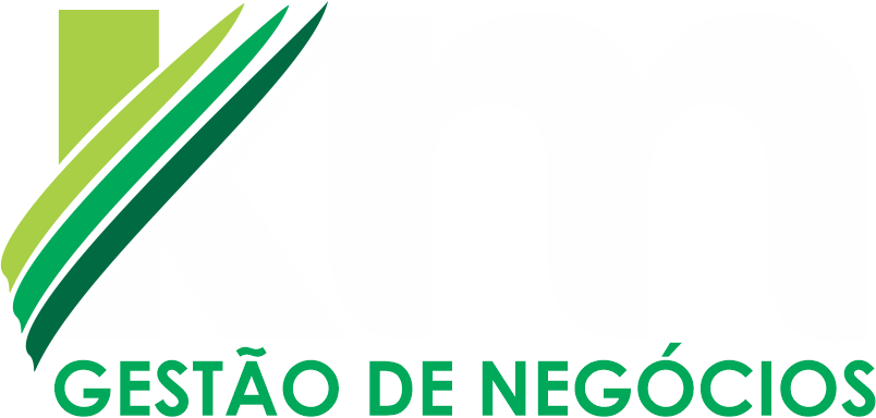 KM Gestao de Negocios