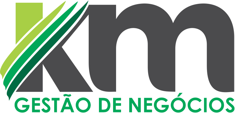 KM Gestao de Negocios